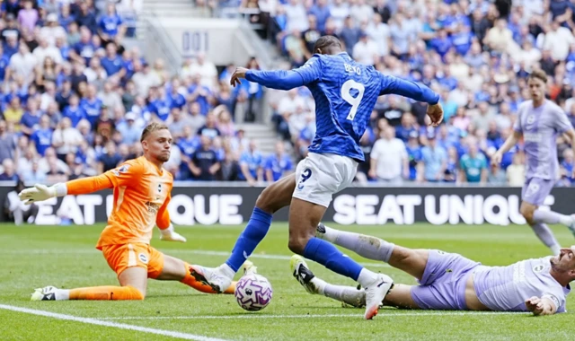 Brighton and Hove Albion goalkeeper Bart Verbruggen Everton's Beto