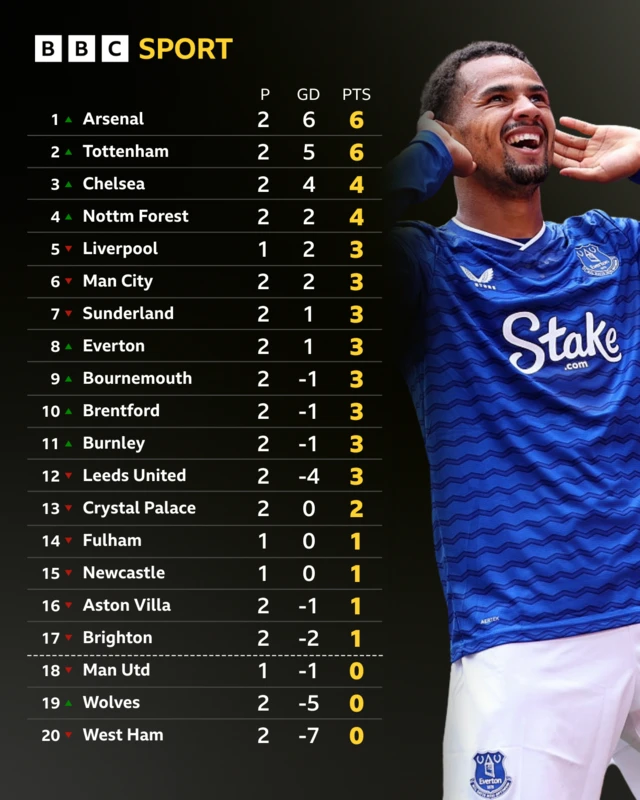 Premier League table - Iliman Ndiaye pictured