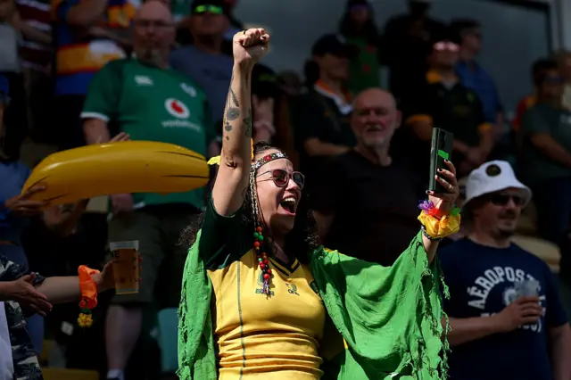Brazil fan cheering