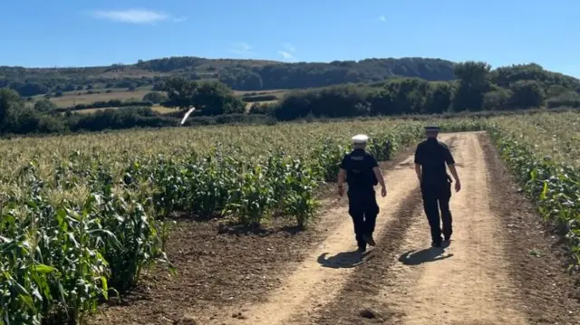 Police officers walking through a field