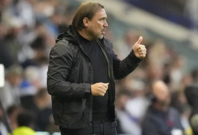 Leeds United manager Daniel Farke gestures