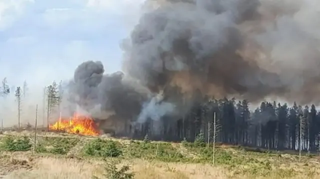 Fire burns with dark grey smoke in the moors, with blackened trees in the background