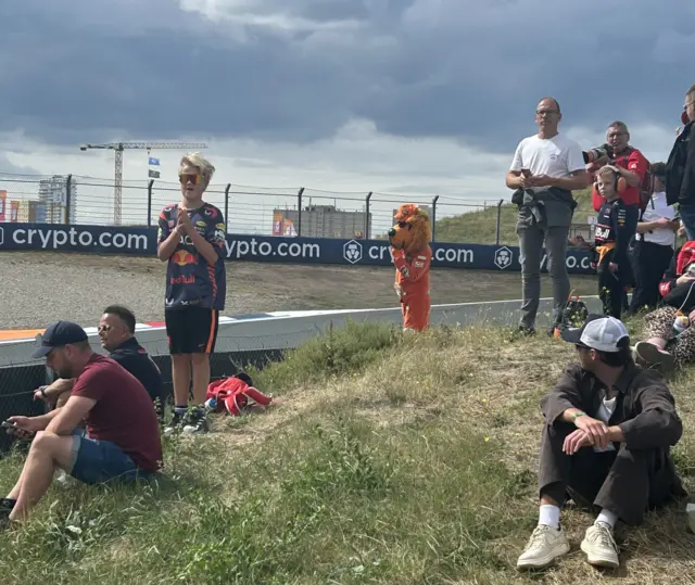 Max Verstappen lion