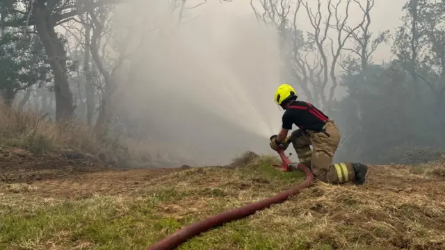 A firefighter uses a hose to spray water onto moorland.