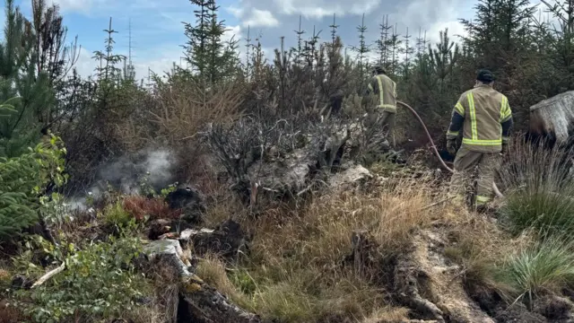 Firefighters carry a hose through scorched moorland