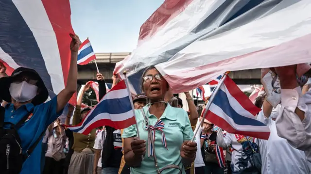 Protesters waving the Thailand flag