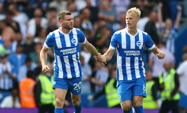 Brighton & Hove Albion's James Milner celebrates