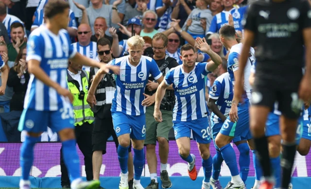 Brighton & Hove Albion's James Milner celebrates