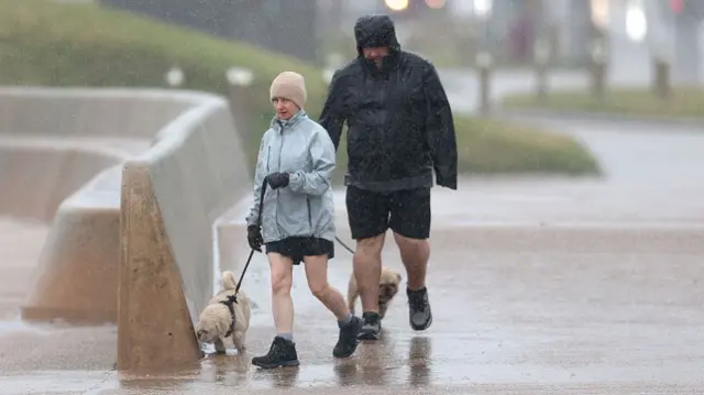 Two dogwalkers get wet in the rain