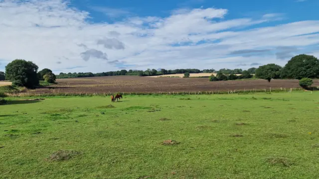 Sunny field in Maidstone, Kent