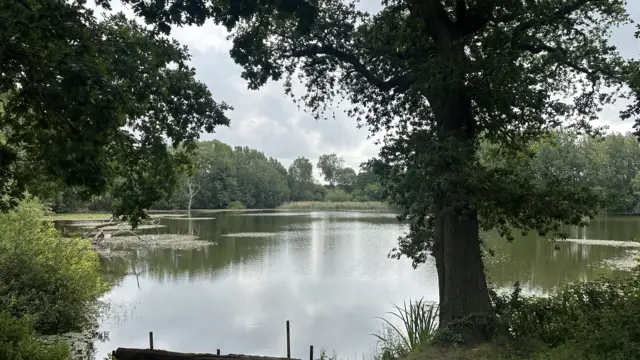 A general view of Decoy Pond in Brantham close to where Anita Rose was attacked.