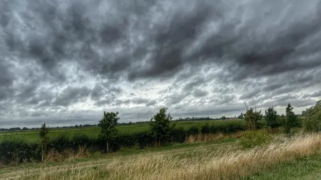 A row of fields and some trees scattered with dark clouds above.