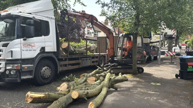 An image of a tree which has been chopped up after falling to the ground. A small crane can be seen lifting bits of broken logs into the back of a lorry trailer