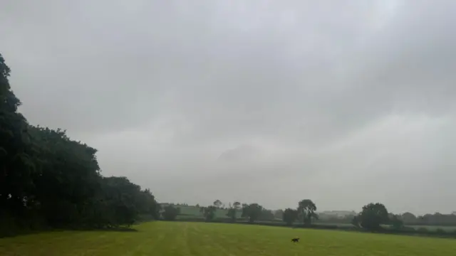 Grey skies hang low over a green field