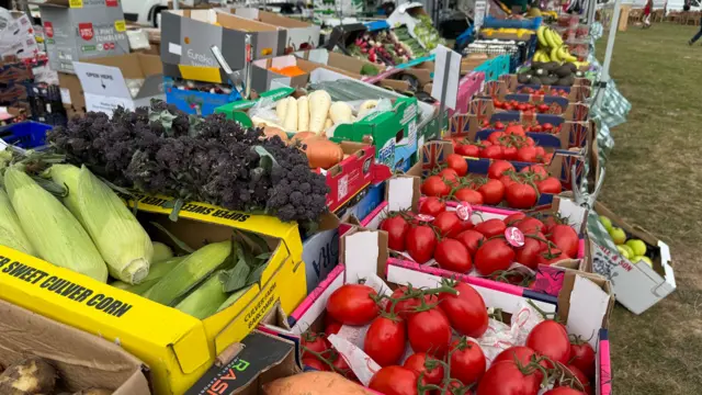 A stall of fruit and veg in boxes. Visible are tomatoes, corn, parsnips, carrots, bananas and kiwis.