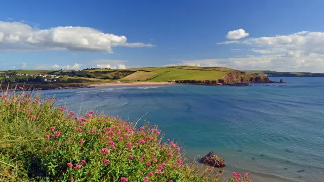A foreground view of pink wild flowers looking across the bay at Bigbury-on-Sea towards the beach at Bantham on a sunny summer’s day with blue skies and just a few white clouds.