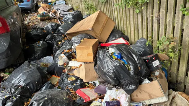 A large pile of waste including cardboard boxes and black bin bags, some of which have been torn open to reveal rubbish inside. Trailing down a path in the background is more waste