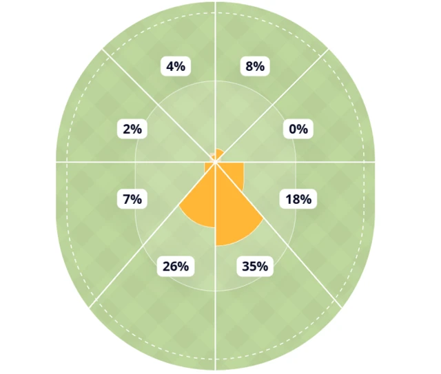South Africa's team wagon wheel