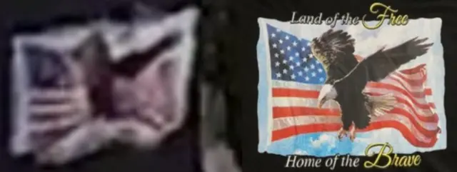 Close up of American flag and eagle image