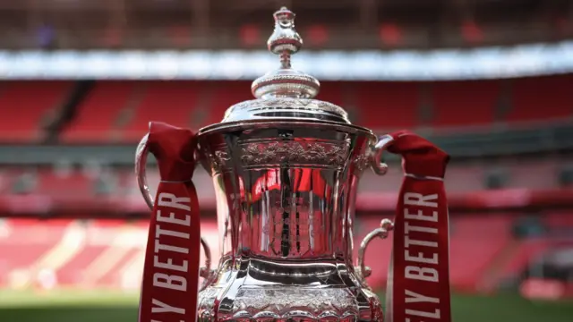 A detailed view of The FA Cup Trophy