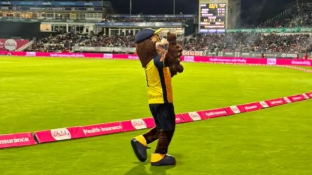 Hawyy the Hampshire mascot