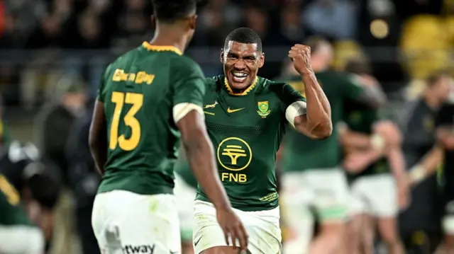 South Africa celebrate victory over New Zealand
