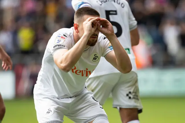 Swansea City striker Zan Vipotnik celebrates