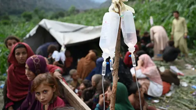 intravenous drip bottles hanging from a tree branch