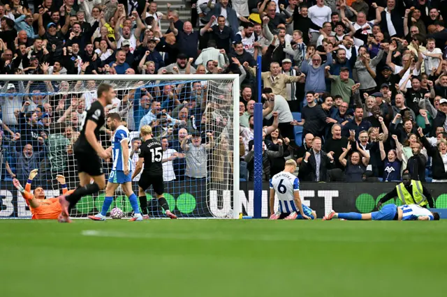 Brighton 2-2 Tottenham