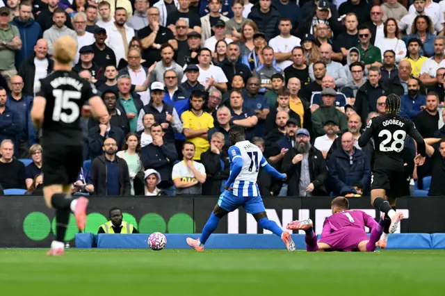 Brighton v Spurs