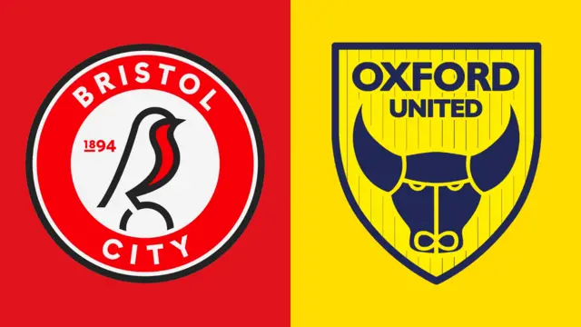 Club badges banner
