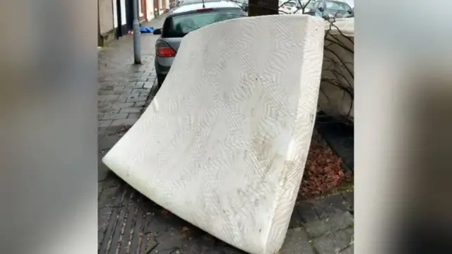 This mattress was dumped against a tree in Cardiff