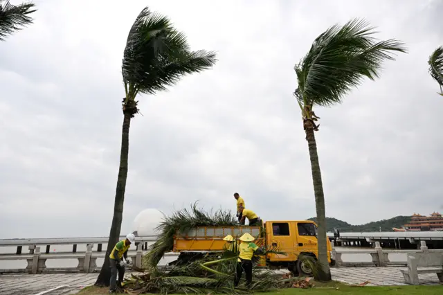 Palm trees sway in typhoon winds