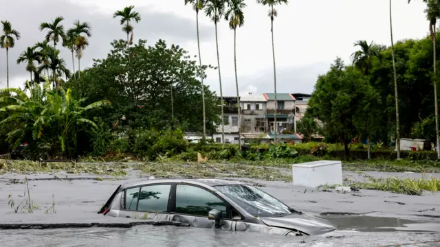 A car is almost totally submerged in floodwaters where debris are also floating as trees and a residential area are seen in the background