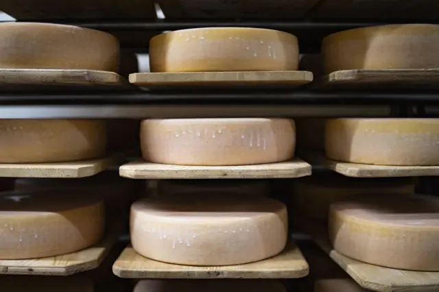 Cheese
