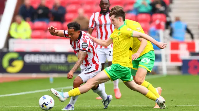 Million Manhoef of Stoke City and Kellen Fisher of Norwich City