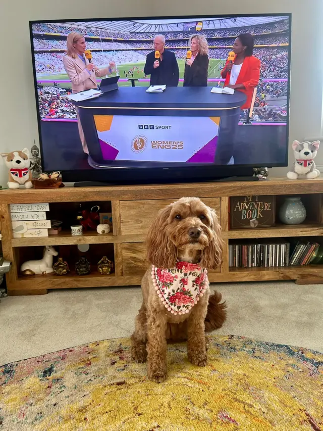 Becca Ives' dog in a Red Rose bandana