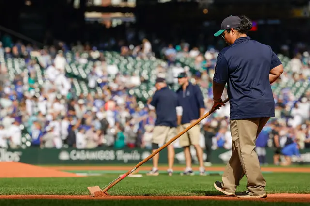 Pitch preparation
