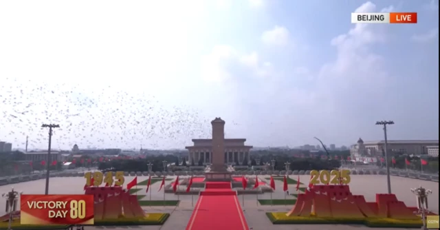 wide shot of doves