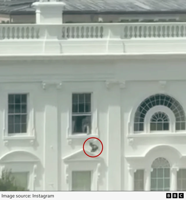 An annotated picture showing the bag, ringed in red, being thrown out of a White House window