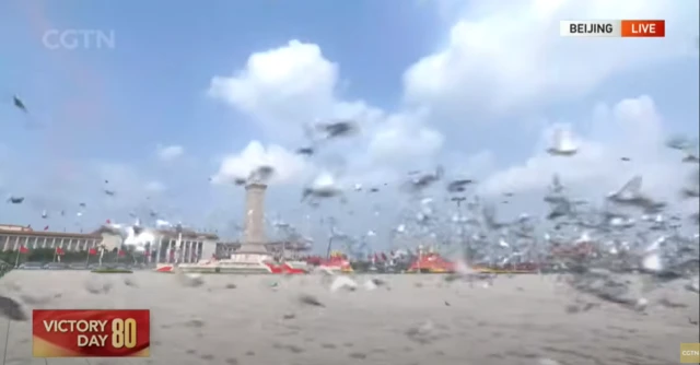 doves flying by