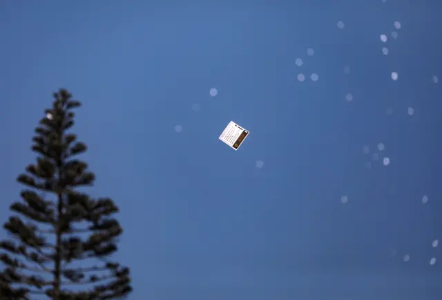 A close up of a white leaflet against a blue sky
