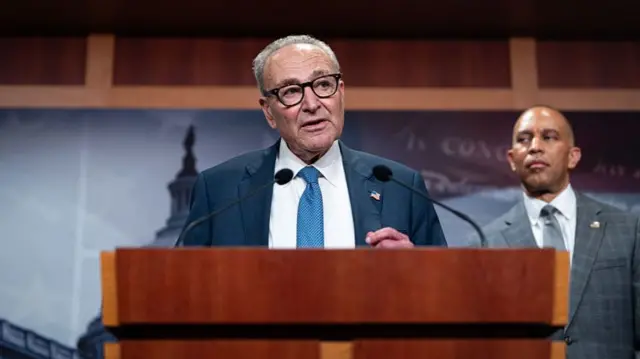 Chuck Schumer in suit and blue tie stood behind podium.