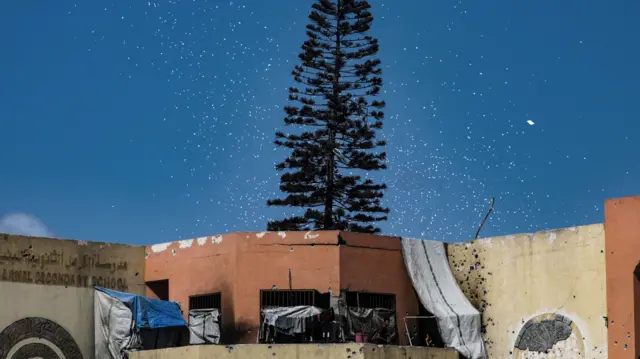 A brown building with a big tree and leaflets visible