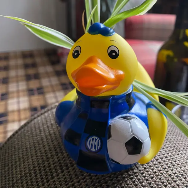 Rubber Duck