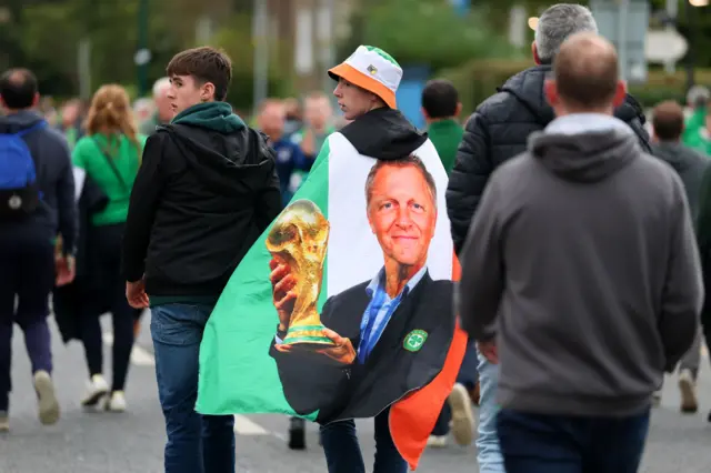 Republic of Ireland fan