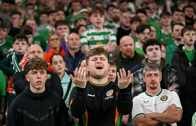 Republic of Ireland fans