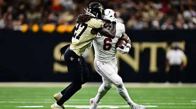 James Conner in the NFL
