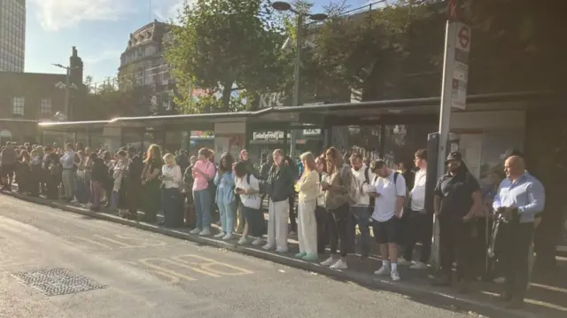 A large group of people wait at a bus stop