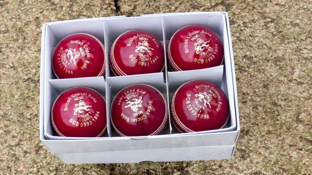 Dukes cricket balls